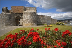 richard-cummins-dungarvan-castle-77359