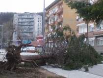 Бедствено положение в редица общини