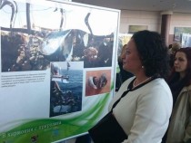 България е една от първите с картиране на екосистемните услуги  