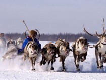 Премиера в „Събуди ме с приказка“ – от Индия до далечния Север