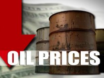 Спад на петролните цени след отказ на Саудитска Арабия да се срещне с Русия преди важната среща на ОПЕК в сряда
