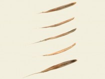 Норвежкият поет Олав Х. Хауге за първи път на български