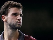 Лъвове нападнаха Григор Димитров