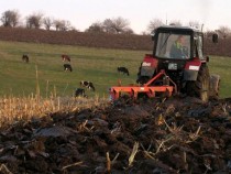 За първи път субсидиите за обработваеми площи се изплащат още през декември