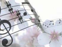 Все по-голям интерес към образователните концерти на БНР