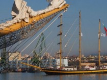 Откриват изложбата "Тол Шипс"