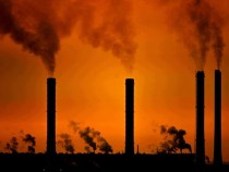 Предпазливо понижение на петролните цени въпреки американските санкции спрямо иранския нефтен експорт