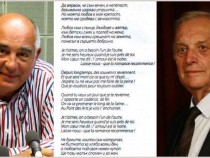 Back to the Roots – поезия билингва