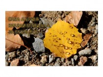 „Меню за пътуване", съставено от Диляна Георгиева и Петър Павлов