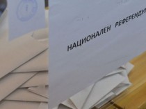 Даниела Божинова: Логиката на политиците за референдума е тяснопартийна