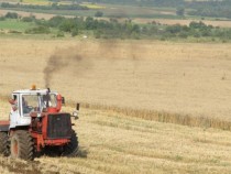 Фермери, които искат да кандидатстват за субсидии, трябва да се пререгистрират до 28 февруари