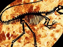 Очарователната наука