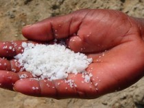 Споделената храна е доброволчество срещу разхищението