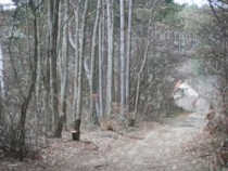 Къде живеят киликандзерите