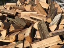 Незаконната сеч в бургаски регион е намаляла през 2016