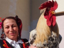 Пей ми, петльо!