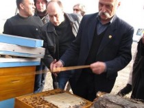 Пчелари от Шумен настояват за прецизиране на списъка на пестицидите, разрешени за използване