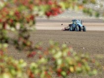 На 15 февруари изтича срокът за регистрация на правото за ползване на земи, което е условие за получаване на субсидии