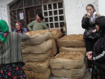 Разрешително да изкупуват тютюн в предстоящата кампания засега имат само седем фирми