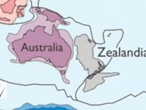 Осмият континент