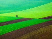 Александър Иванов: В една професия, в една работа, човек трябва да влага и сърце