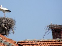10 нови приказки в „Ранобудно петленце”