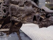 КФН започна проверка в БФБ