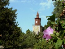 Рядко показвани вещи на бележити писатели са изложени в Свищов