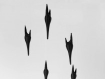 "4 проекта" – изложба на Димитър Солаков в галерия "Васка Емануилова"