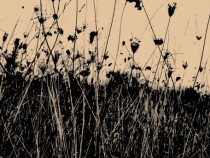 Антиутопия или реалност