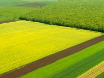Тази година земеделските производители ще бъдат подпомогнати с над два милиарда лева