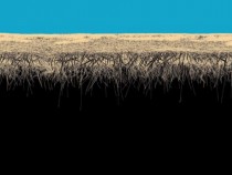 „Последен репортаж” – изложба на Камен Старчев