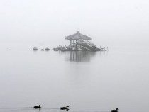 Южна Корея оживя във Варна чрез изложба на Емануела, Гергана и Делица Цоневи