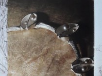 „Сребърни есета“ на Анжело Красини