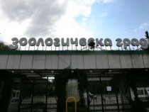 За птиците и плакатите