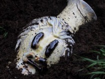 Скъпи мой провинциалист в Swimming pool