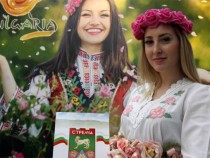 Туроператори за новия сезон: Очакваме ръст между 10 и 15 процента