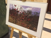 Хайку и хайга в Мраморното фоайе на БНР