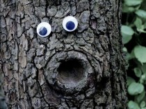 Модерно улично изкуство ОЧОвечава градската среда