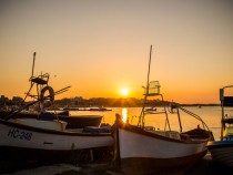 Виртуално пътешествие с изложбата "Живо слънце" в БНР