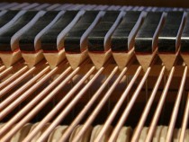 Звукови хроники „Жените композиторки”: Анна Бон ди Венеция