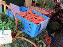 Биопроизводители още чакат компенсации