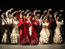 Антонио Нахаро: Еволюцията е в красотата на различни нива