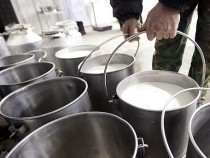 Животновъдите от страната с конкретни искания за стабилизиране на отрасъла