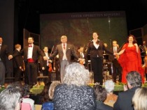 Влюбени във Виенската музика