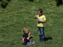 Очаква ли ви сладоледена ваканция?