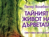 Книгата "Тайният живот на дърветата" на Петер Волебен излиза на български език