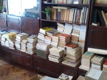 Отстраненият директор на Националния литературен музей: Не ми беше даден мотив защо искат да напусна