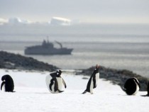 Цветелина Атанасова представя най-новия си документален филм "Антарктида – 25 стъпки в бъдещето"