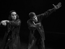 Те (не) са Хамлет